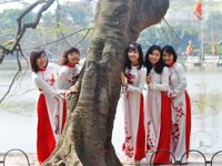International Tour Operator