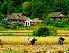 Attractions Of Vietnam