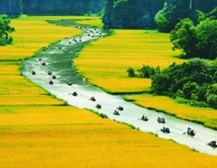 Wonderful of Vietnam
