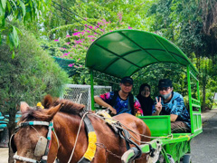 Mekong Boat trip