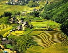 HANOI- SAPA - LAOCHAI- TAVAN-GIANG TA CHAI- HANOI 3 days - 2 nights