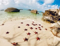 Discover The North – Kayaking – Starfish Beach – National Park – Grand World