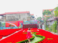 Quang Phu Cau Incense Village Half Day